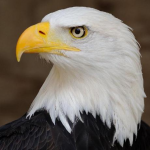 Depoimento - Eduardo