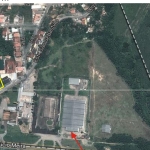 Depoimento - Matheus