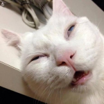 Depoimento - Eduardo